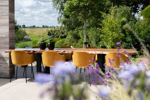 Oude plataan krijgt tweede leven als robuuste tafel