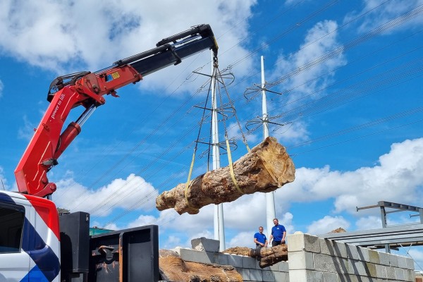 Oude plataan krijgt tweede leven als robuuste tafel